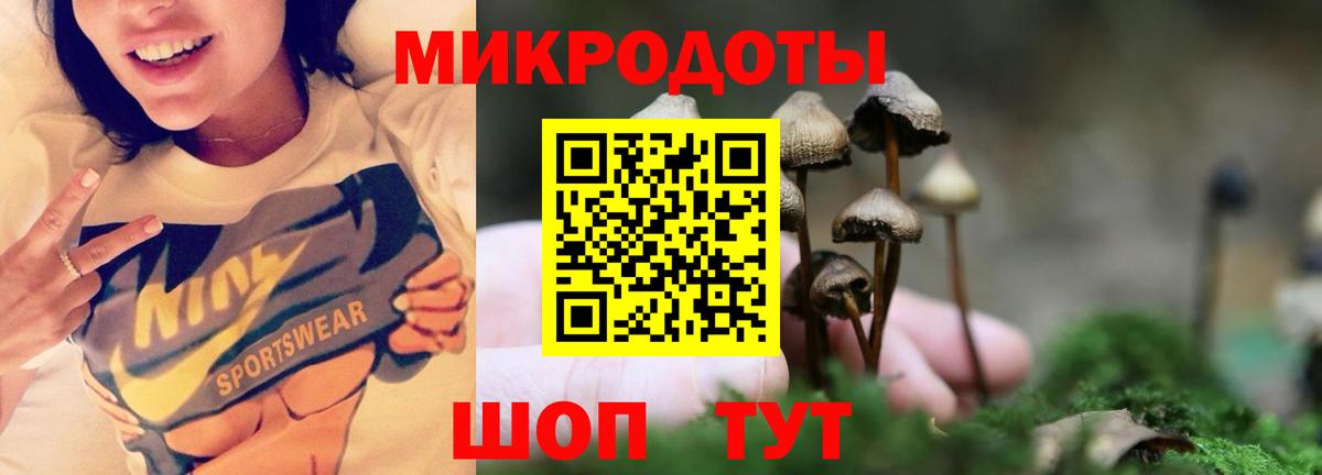 Галлюциногенные грибы GOLDEN TEACHER Ишим